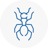 Ant Removals In West Drayton