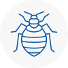 Bed Bug Extermination In West Drayton