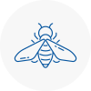 Bee Nest Removal West Drayton