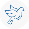 Bird Prevention West Drayton