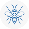 West Drayton Hornet Nest Removals