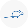 Mice Exterminators In West Drayton