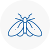 Moth Control Specialists In West Drayton