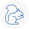 West Drayton Rodent Removals